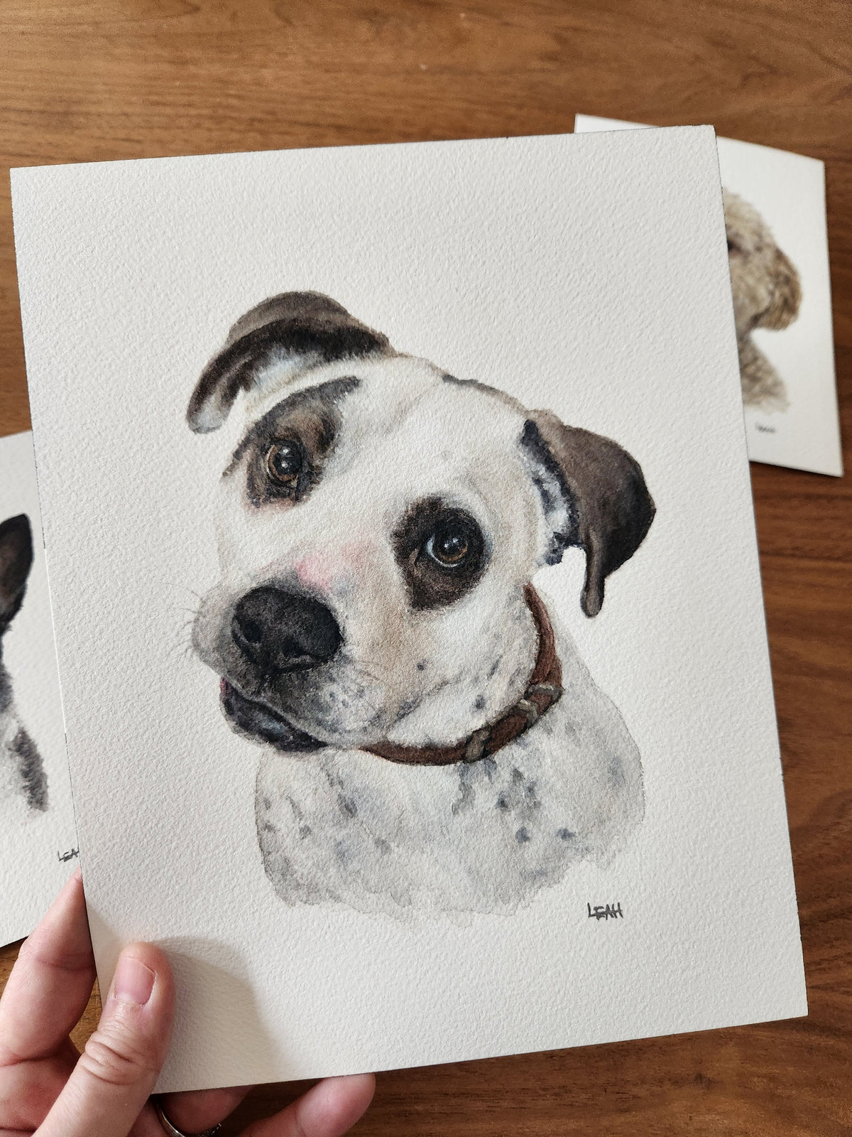 Portraits