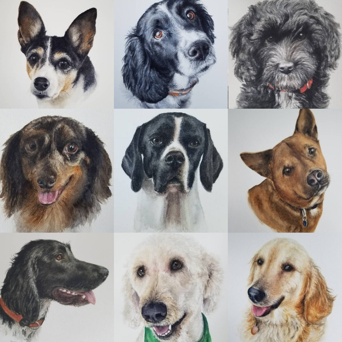Large Watercolor Pet Portrait. Custom Artwork (11x14)