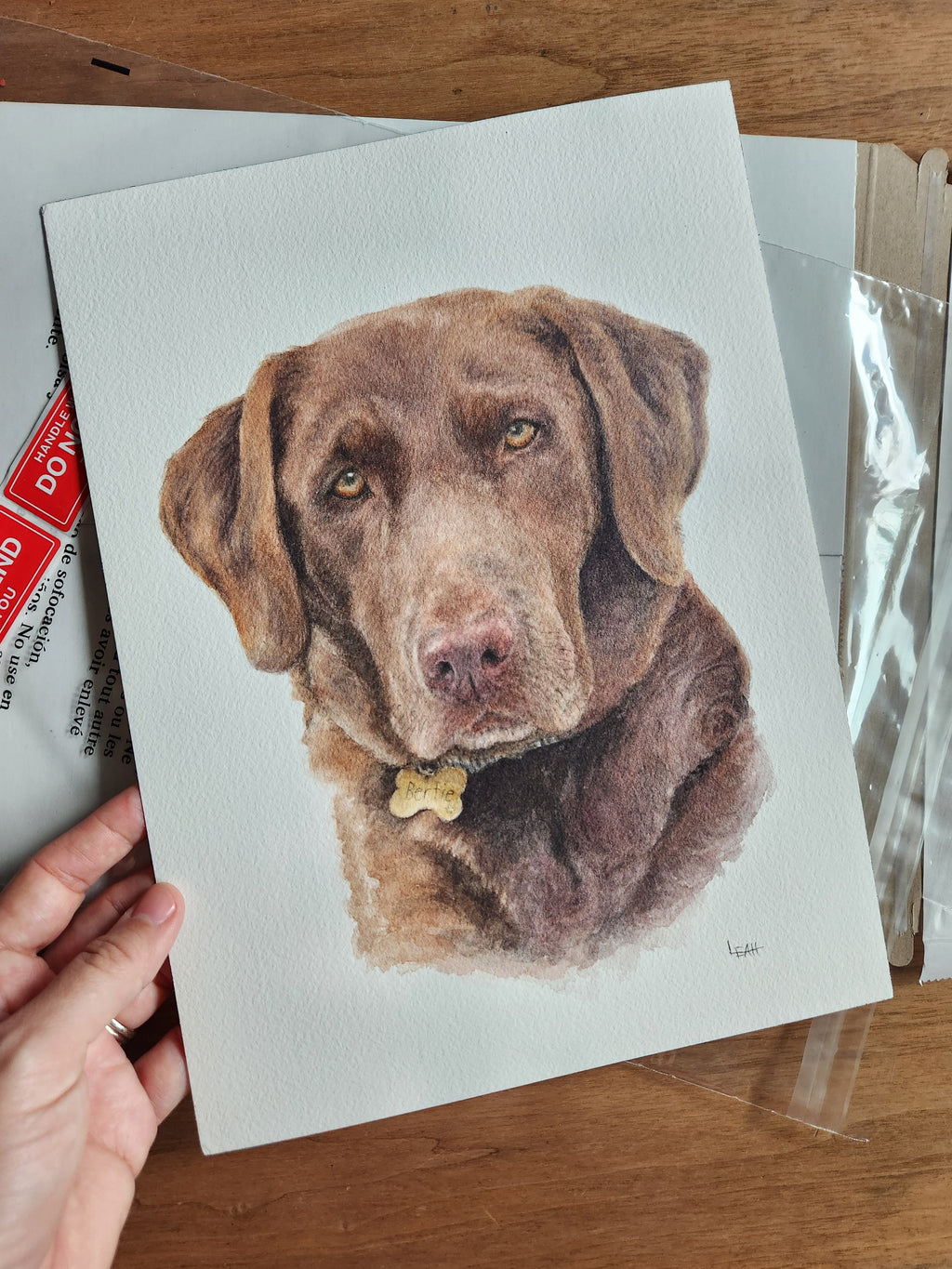 Medium SINGLE Pet Portrait, custom (8x8 or 8x10)