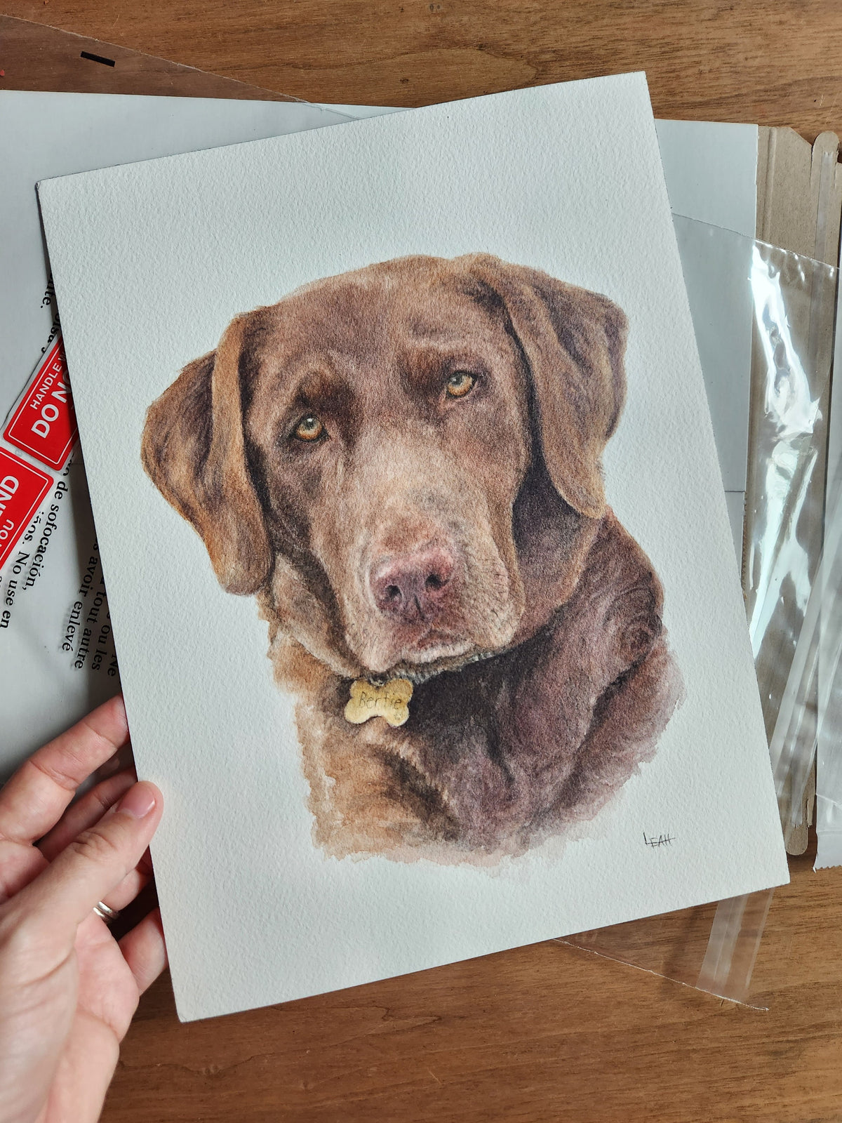 Medium SINGLE Pet Portrait, custom (8x8 or 8x10)