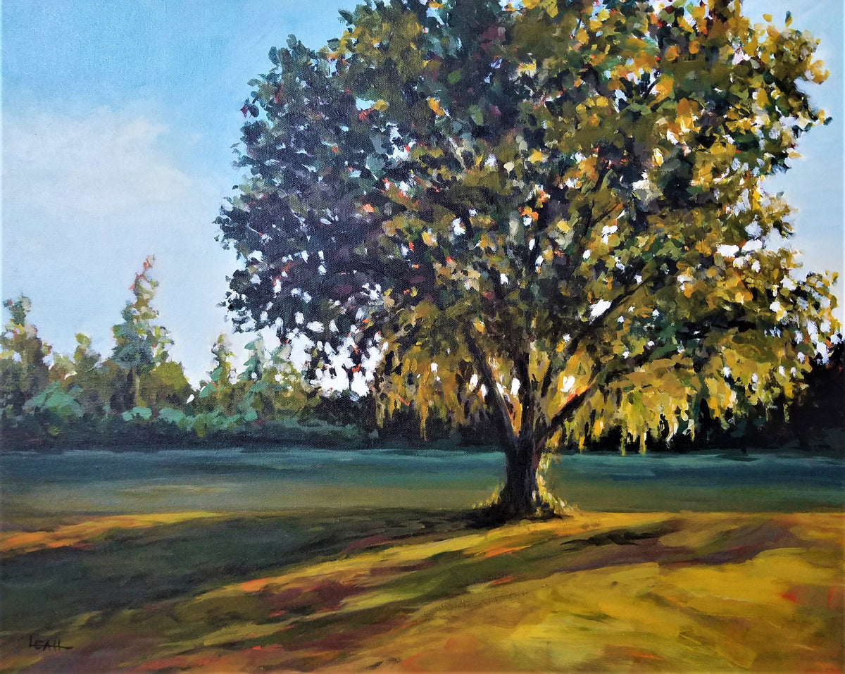 Palatka Tree