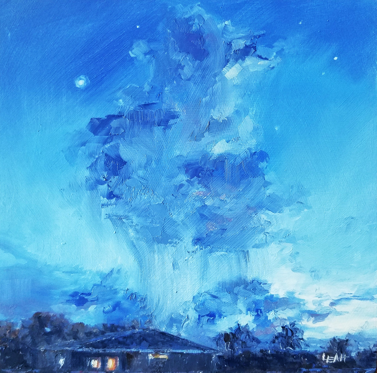 Backyard Night Shower