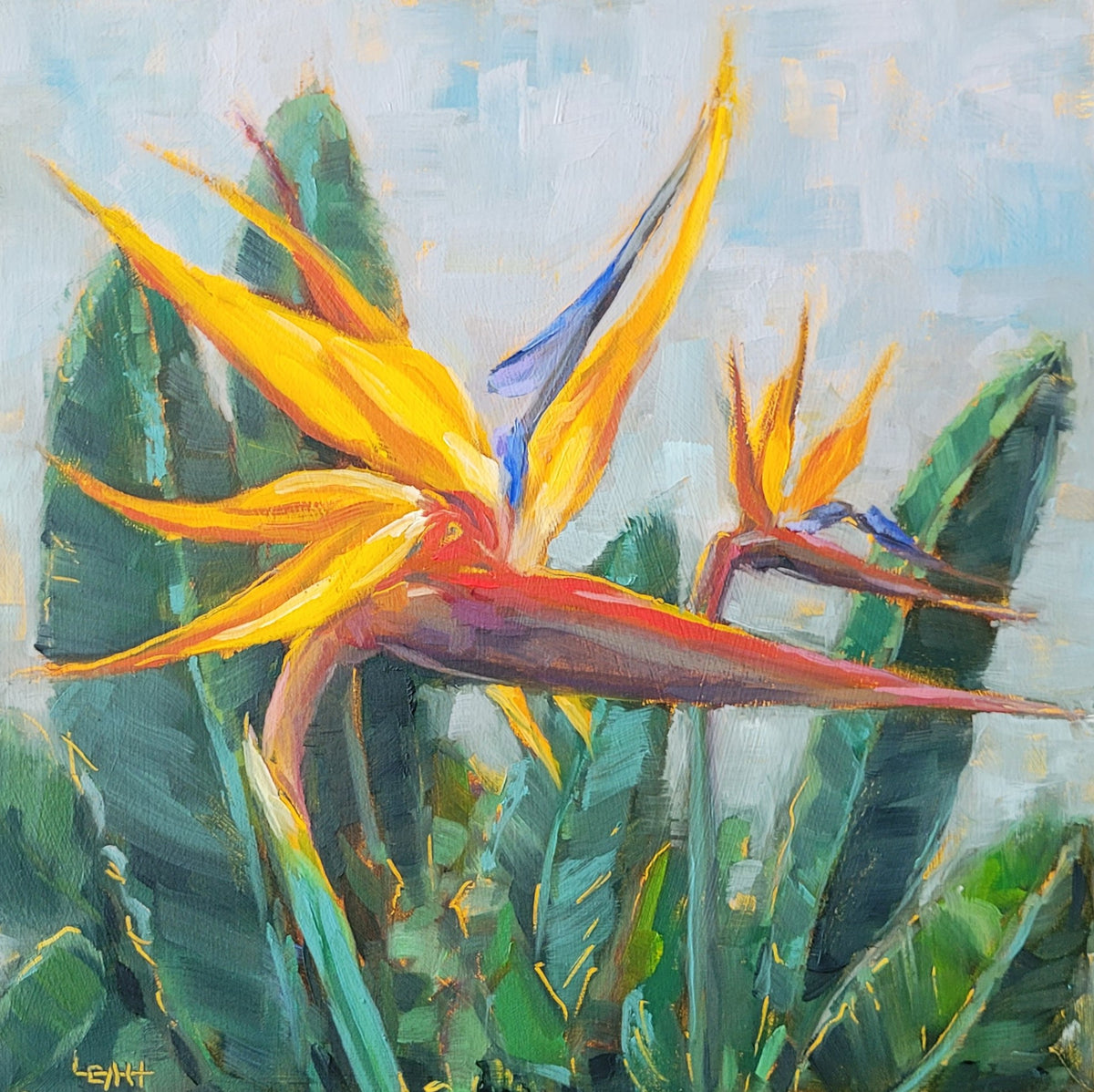 Bird of Paradise in the Savanna