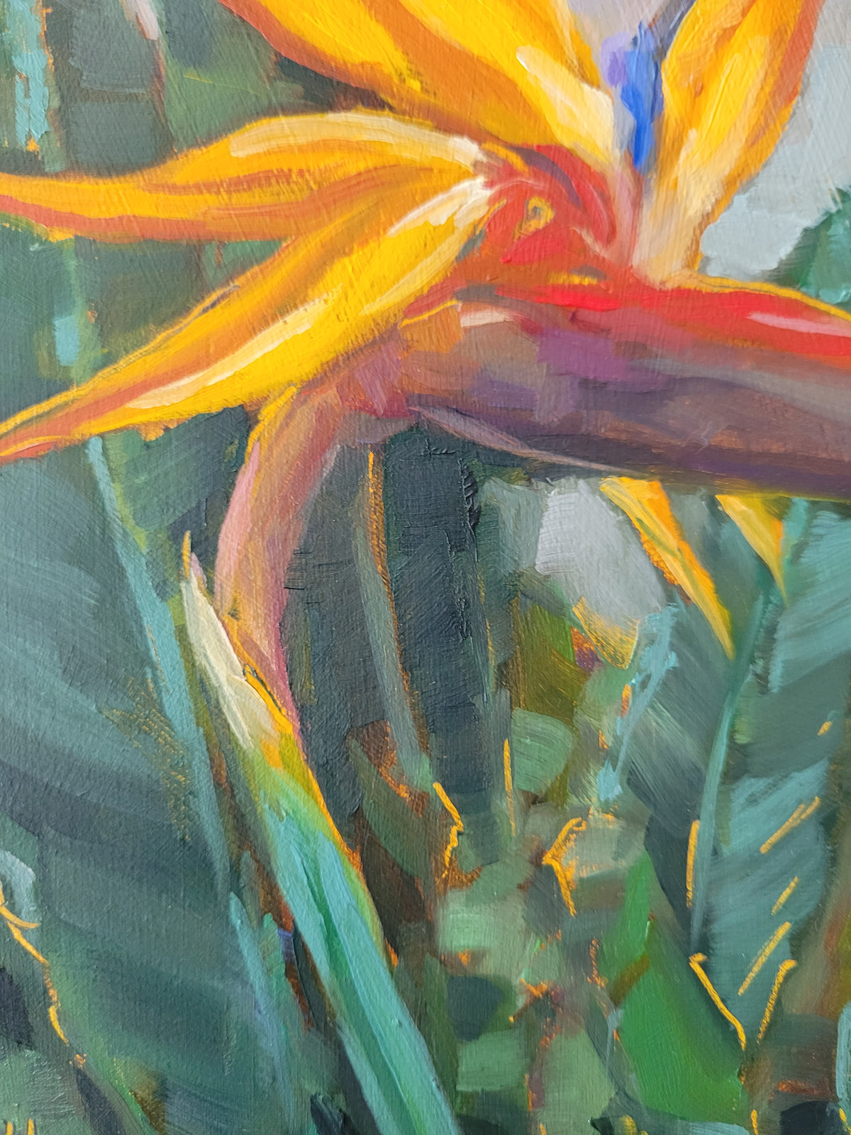 Bird of Paradise in the Savanna