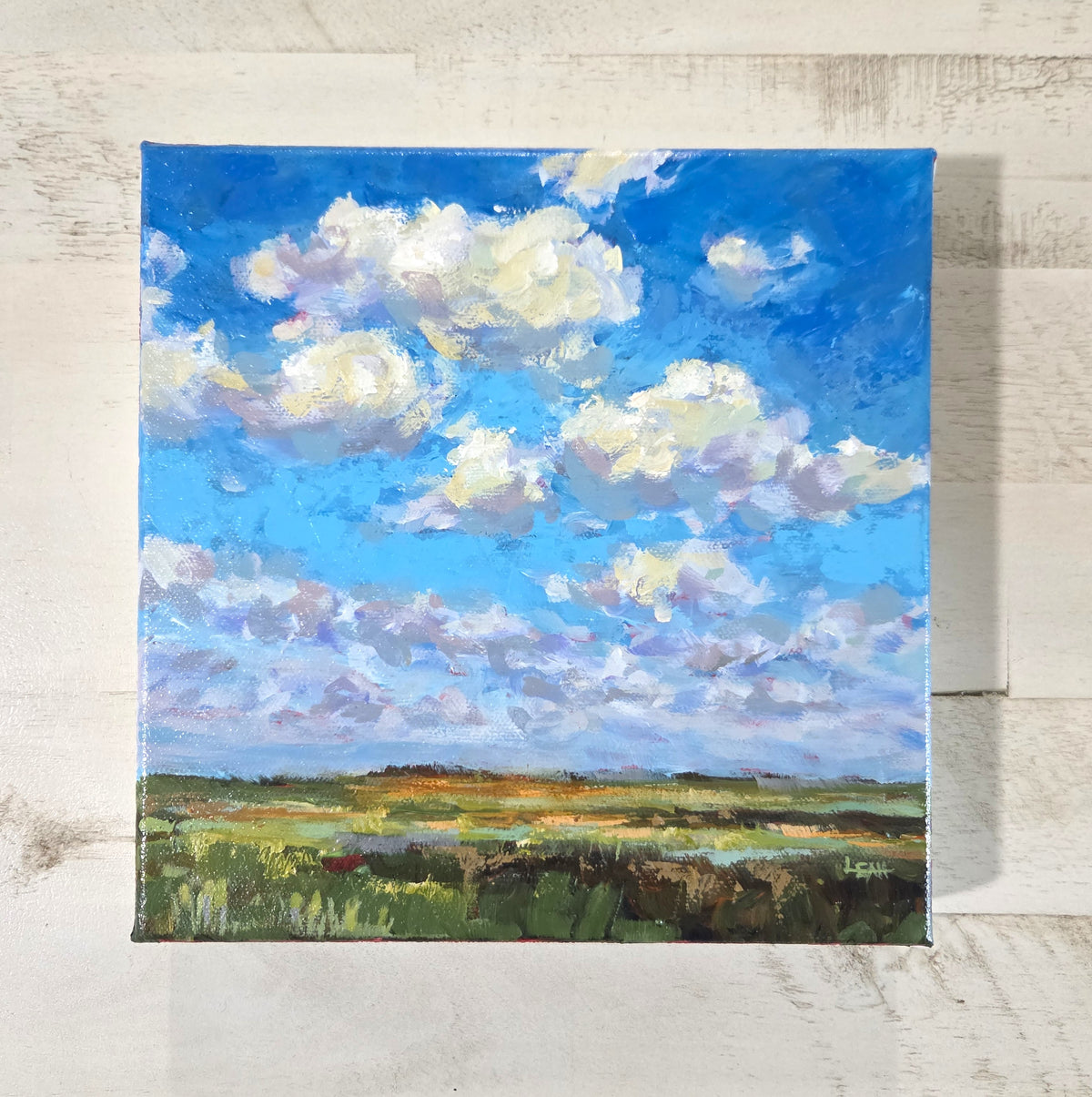 Savanna Sky