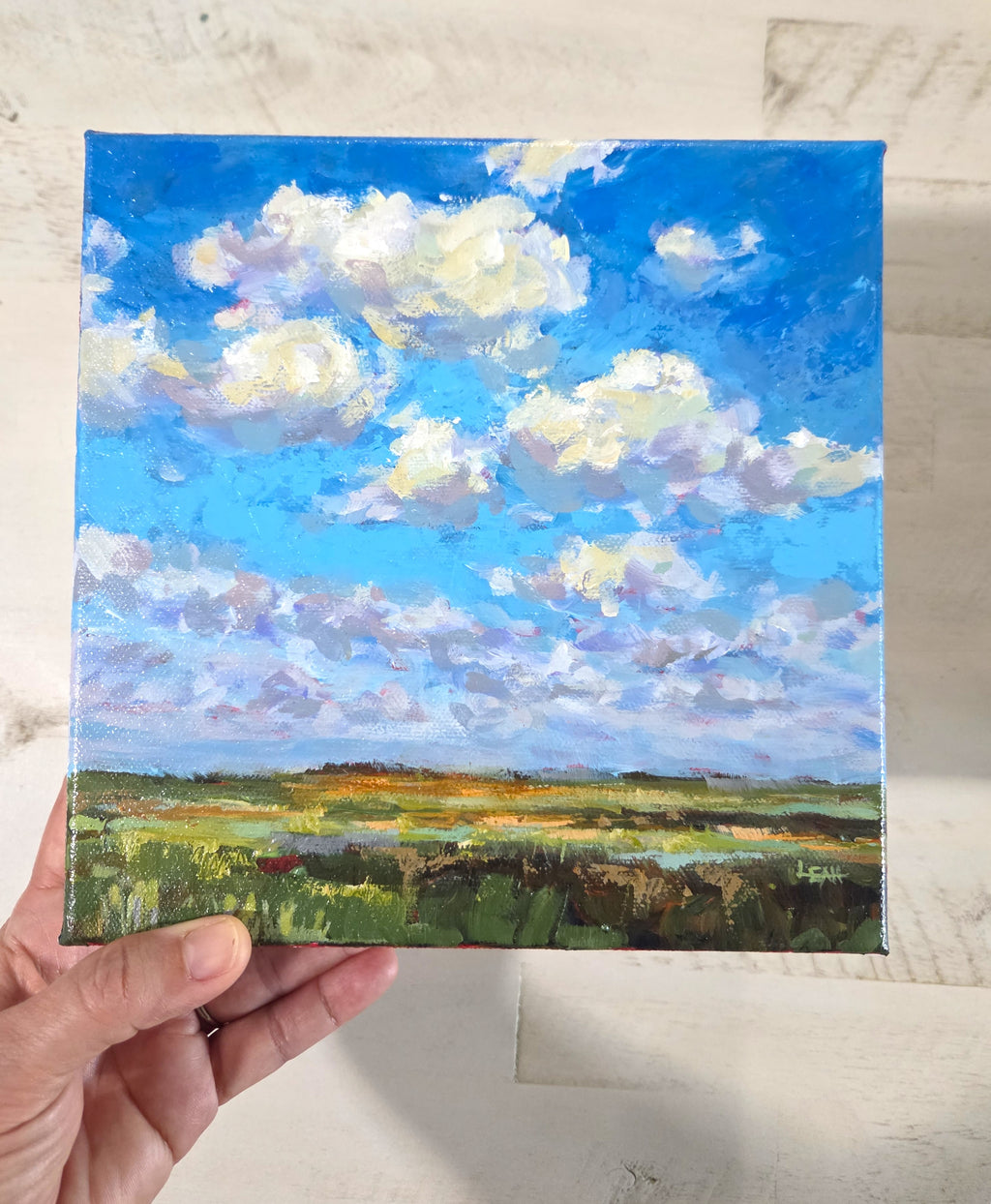 Savanna Sky