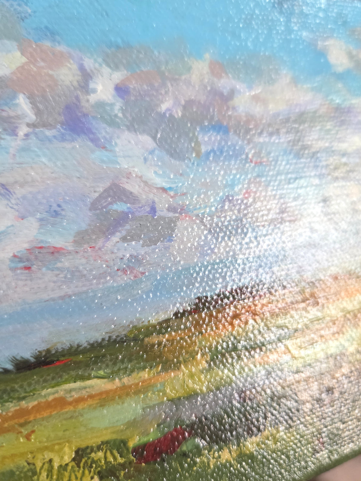 Savanna Sky