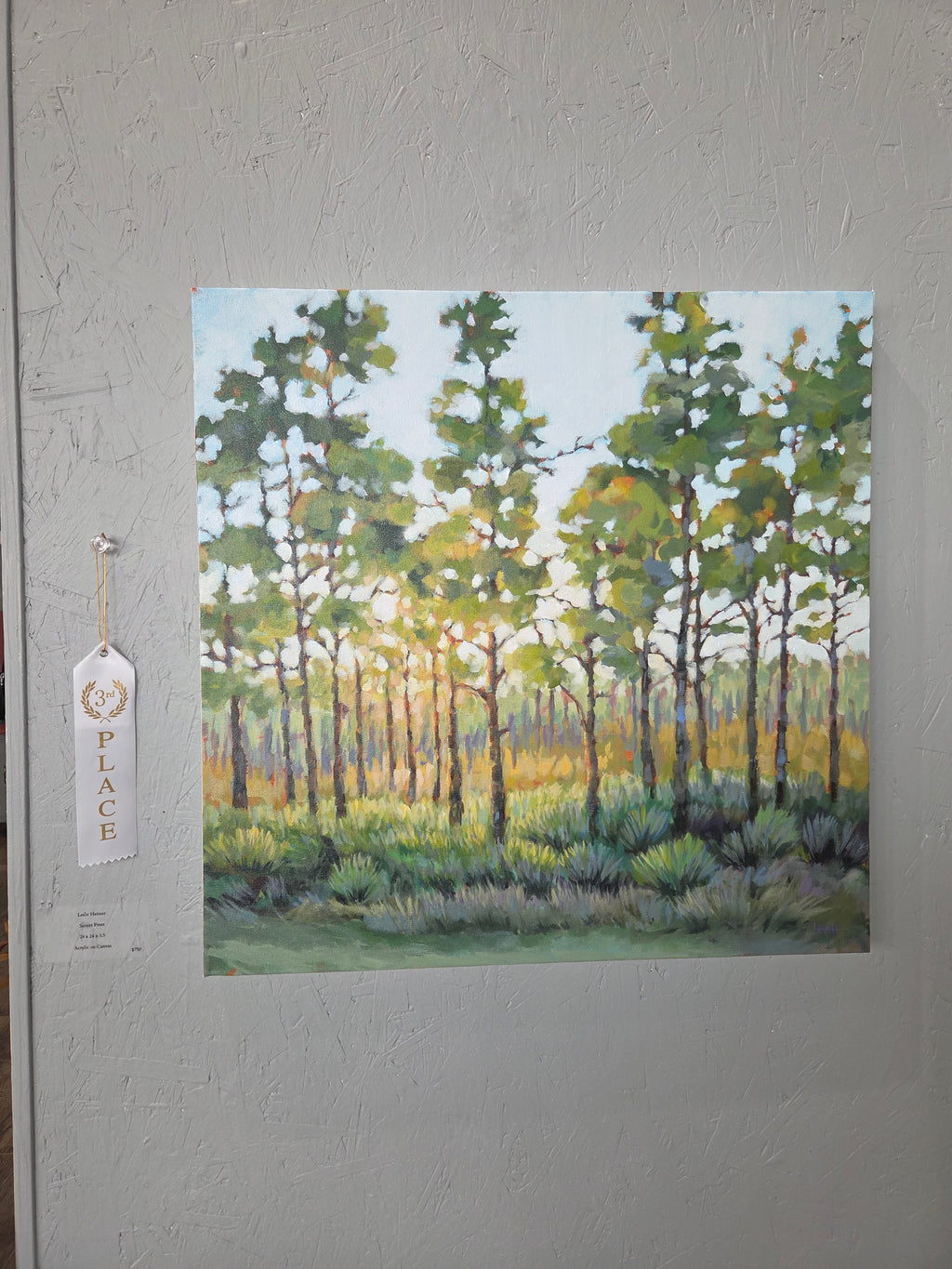 Sunset Pines