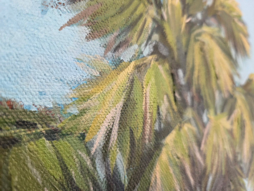 Sabel Palm in the Savannas