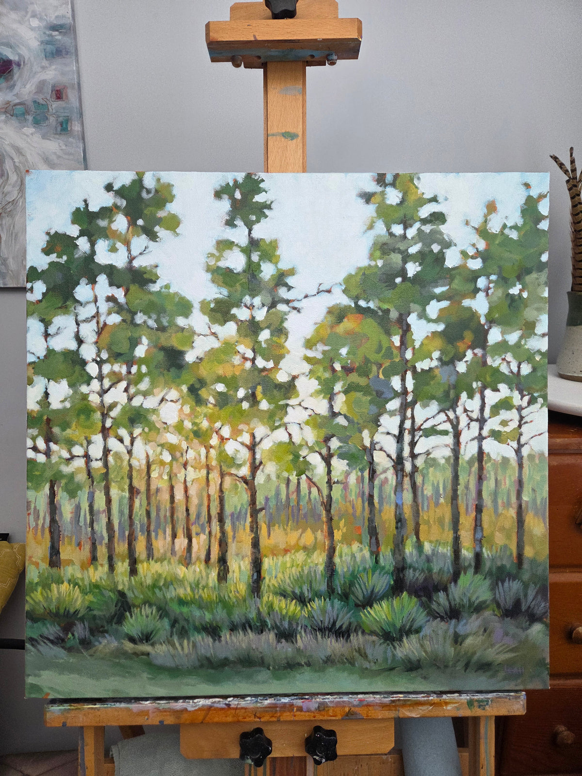 Sunset Pines
