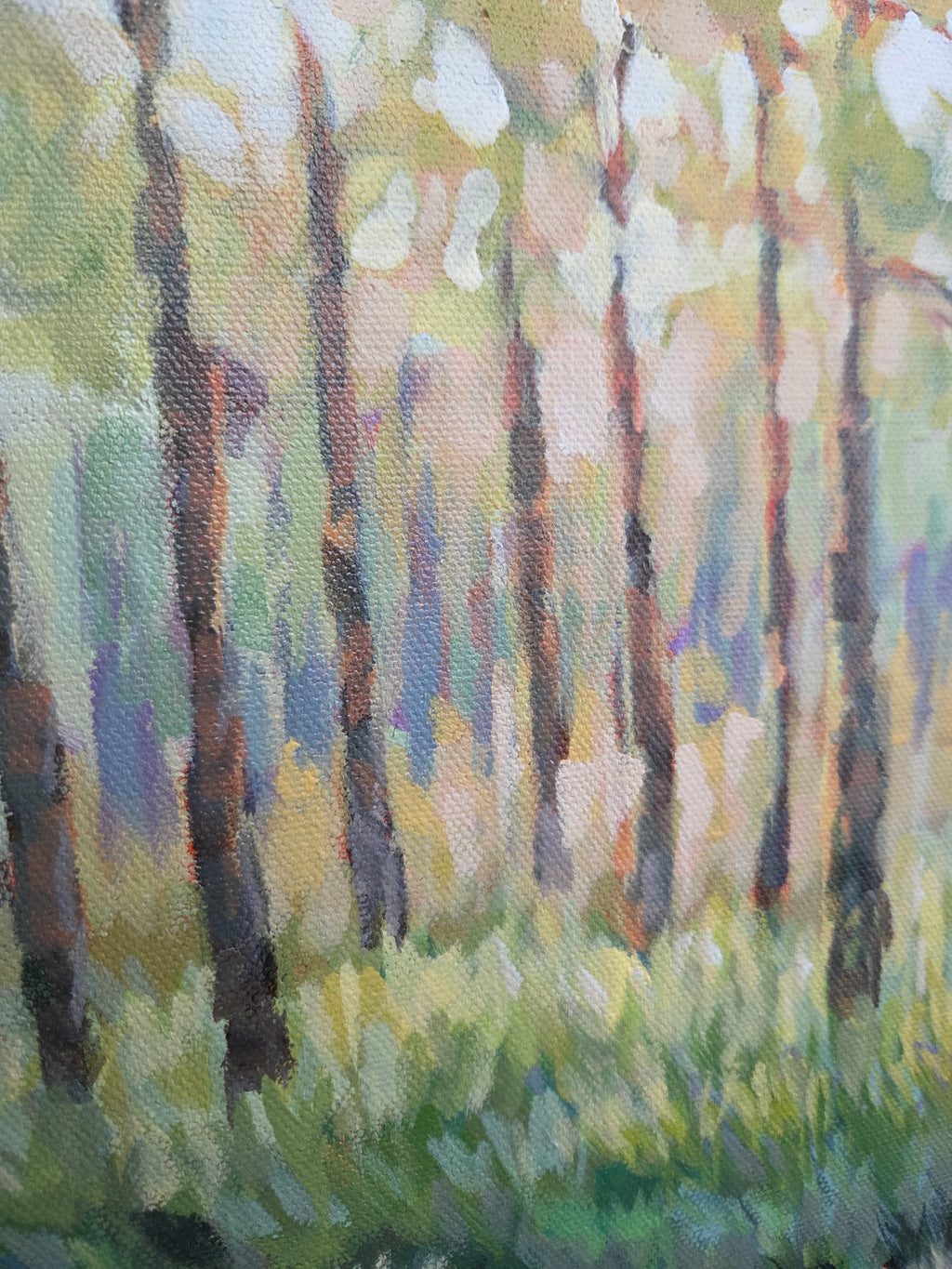 Sunset Pines