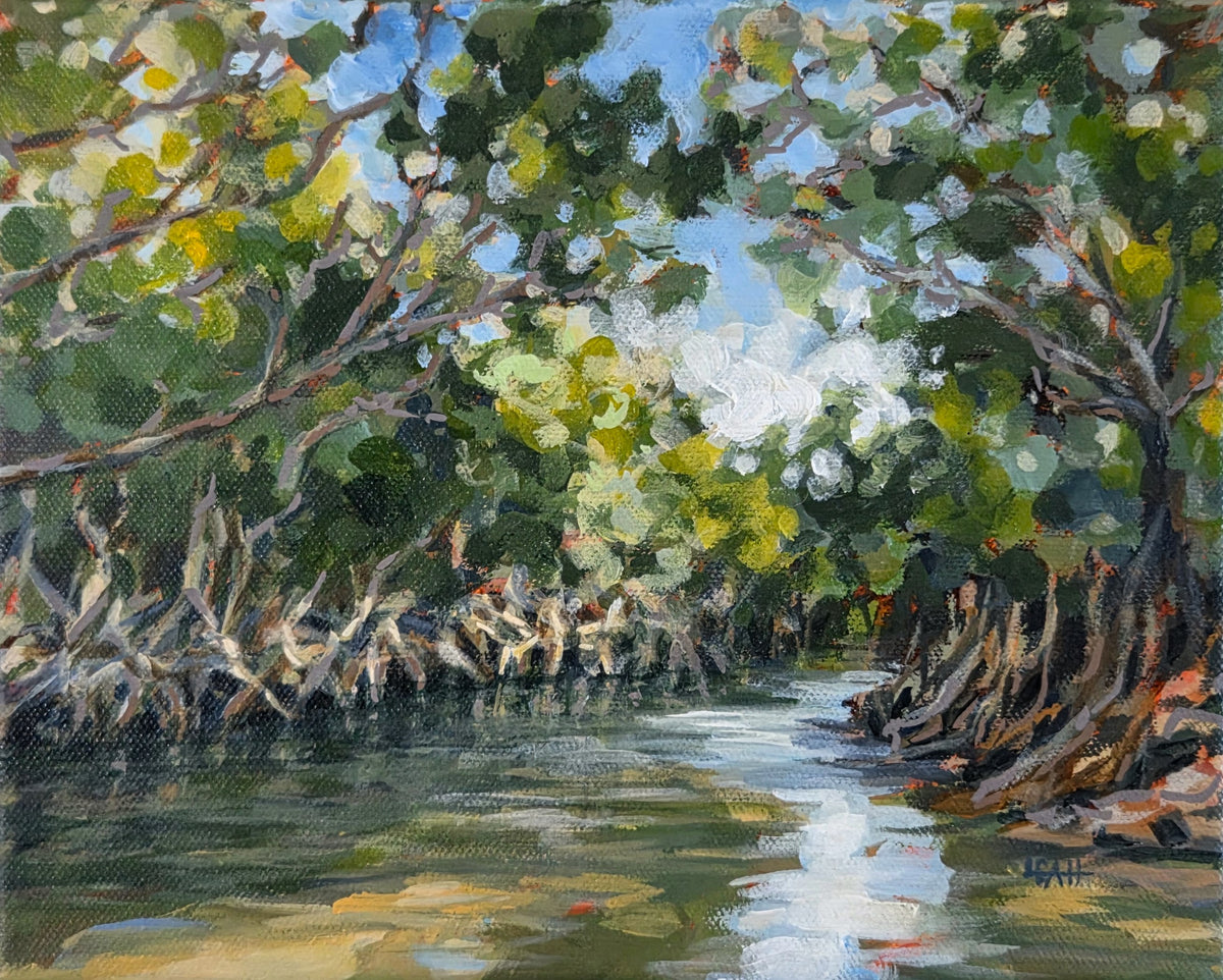 Mangrove Tunnel