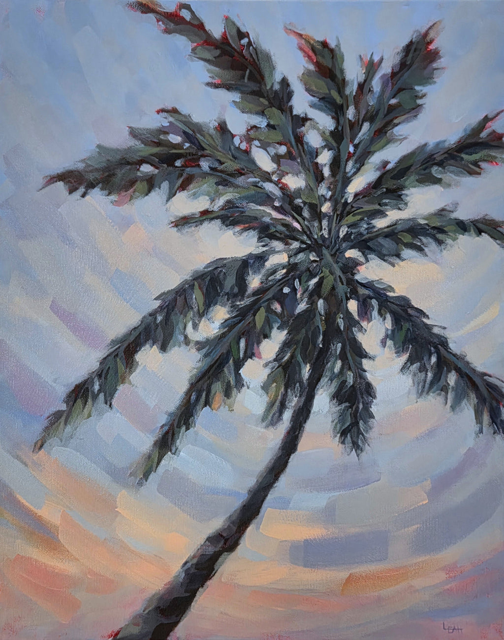 Palm at Dusk