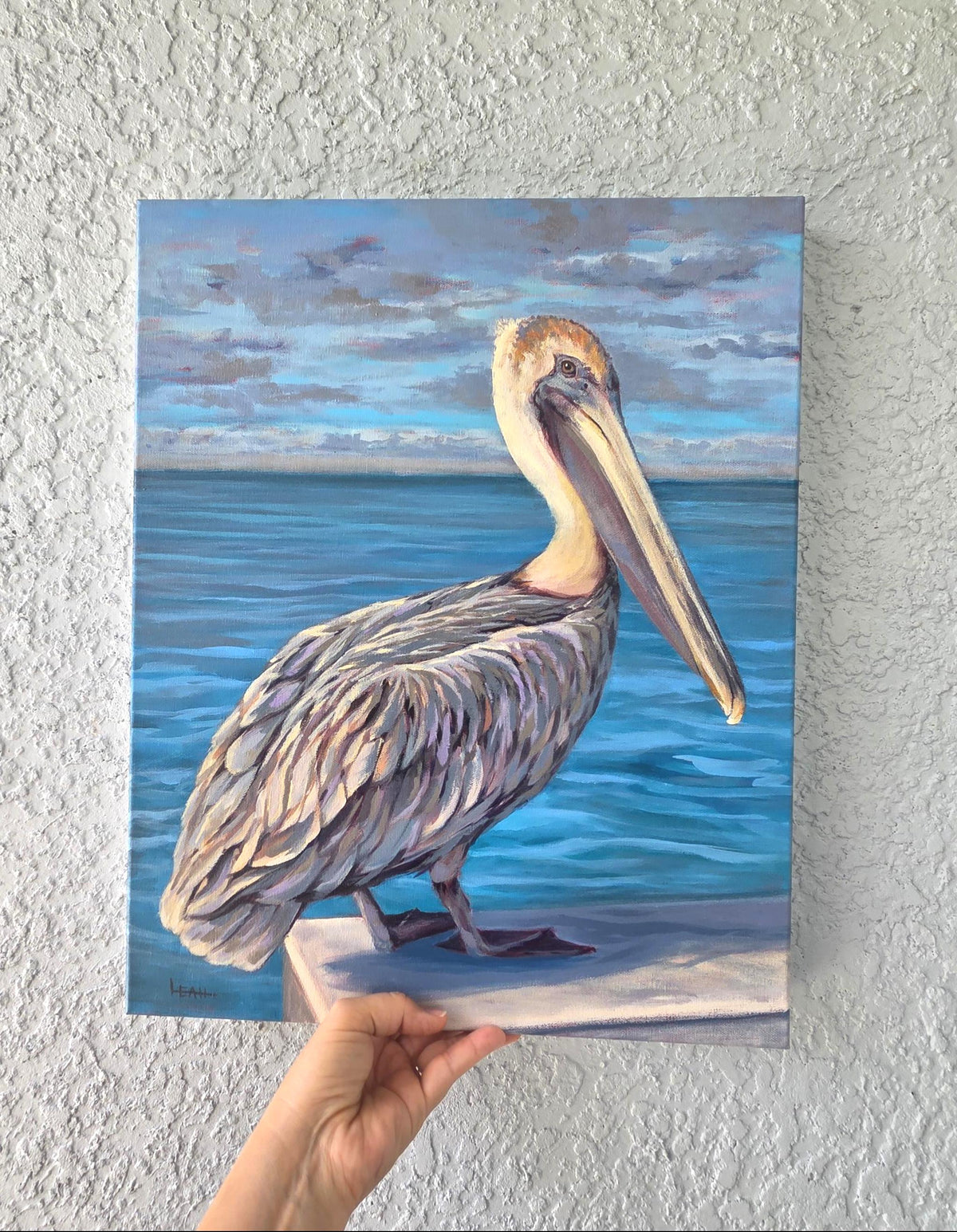 Pelican at the Pier