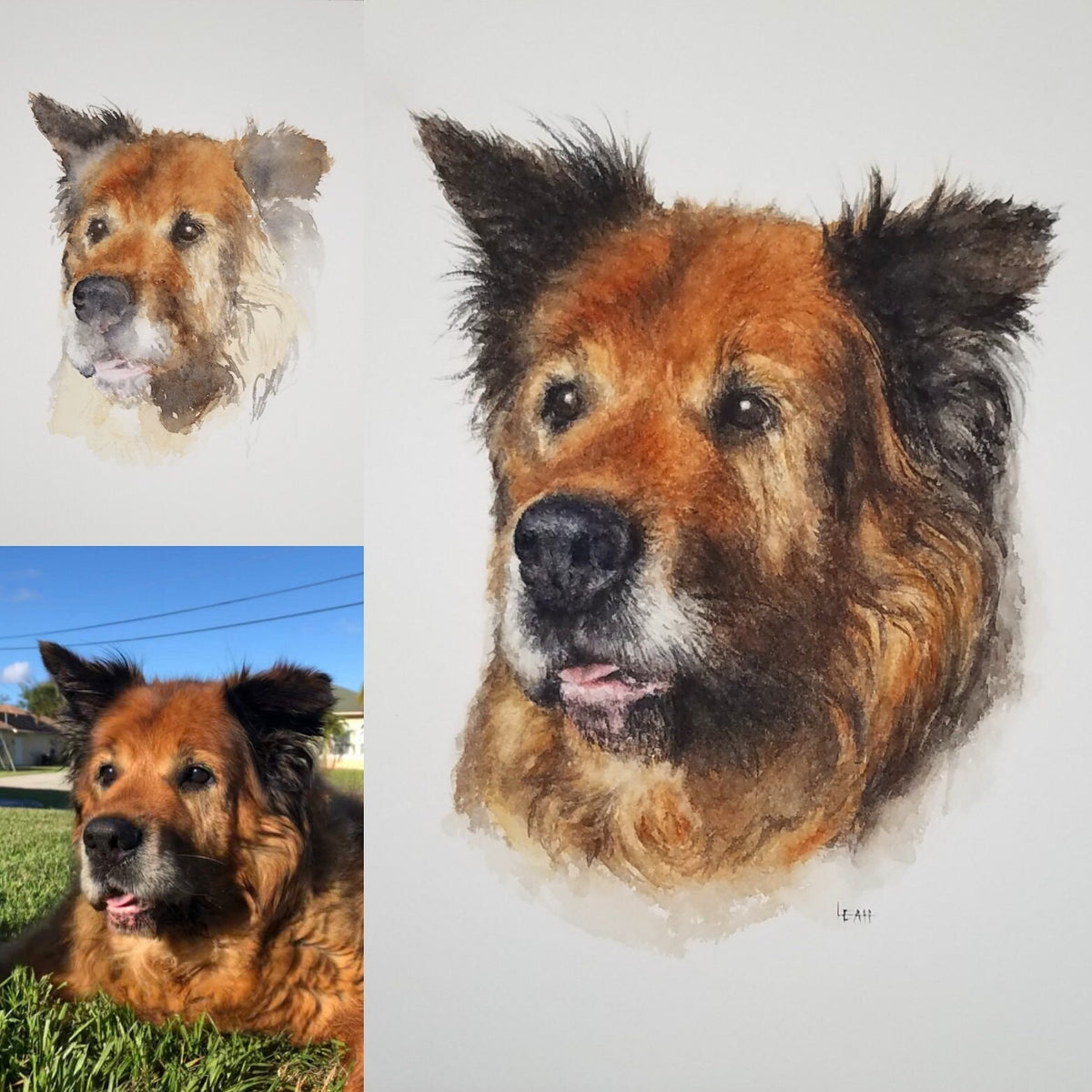 Medium SINGLE Pet Portrait, custom (8x8 or 8x10)