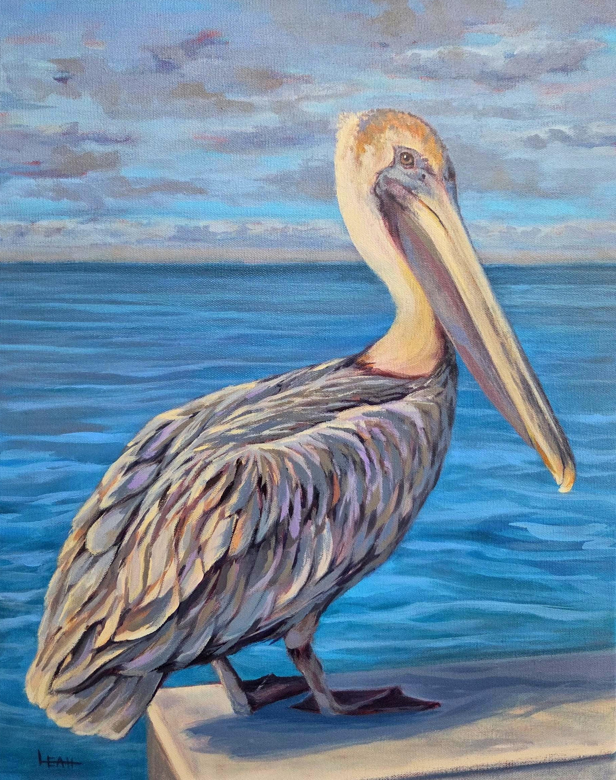 Pelican at the Pier