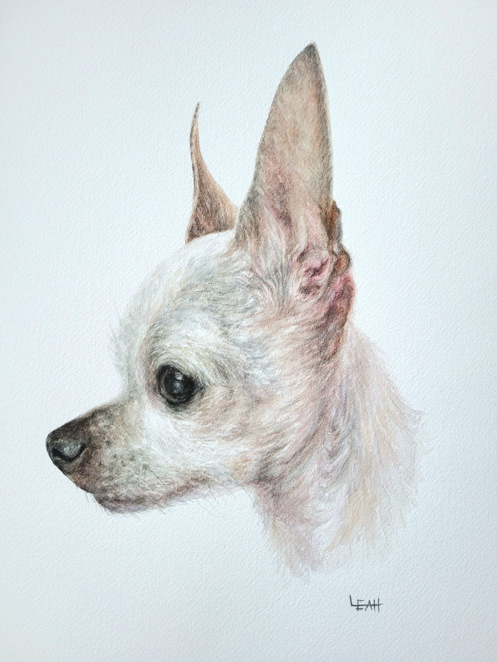 Large Watercolor Pet Portrait. Custom Artwork (11x14)