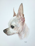 Large Watercolor Pet Portrait. Custom Artwork (11x14)