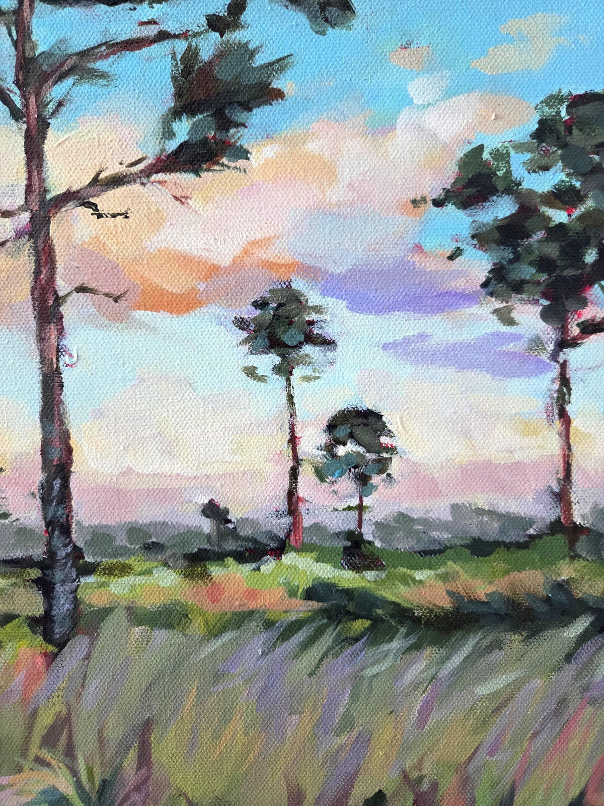 South Florida Pines