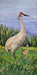 A painted nature scene showing a large pale sandhill crane standing in green reeds beside a smaller chick, with a soft blue sky in the background.