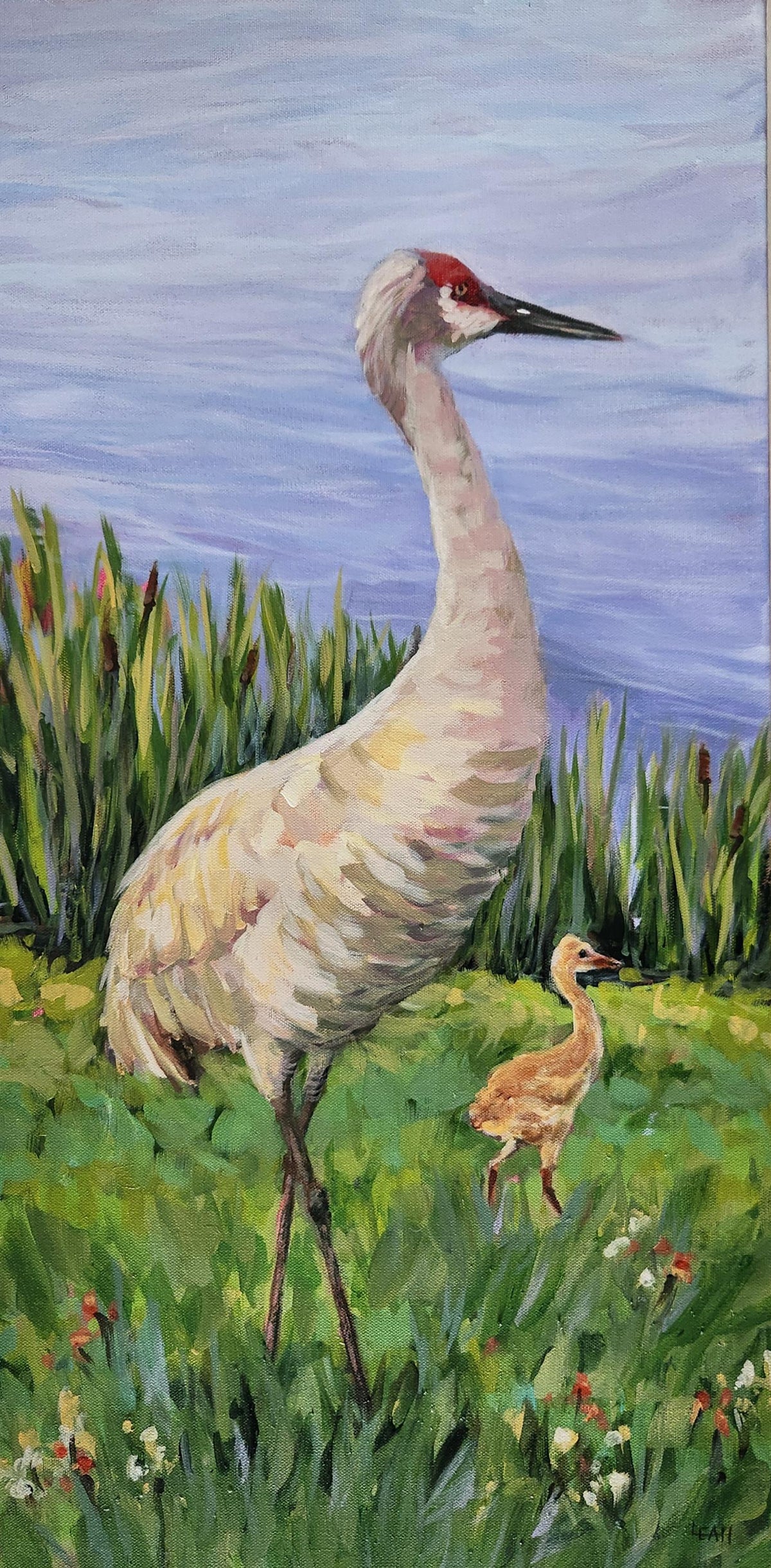 A painted nature scene showing a large pale sandhill crane standing in green reeds beside a smaller chick, with a soft blue sky in the background.