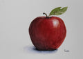 Red Apple - Watercolor
