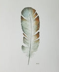 A watercolor painting of a single feather on textured white paper. The feather is rendered in muted tones of gray, brown, and beige.