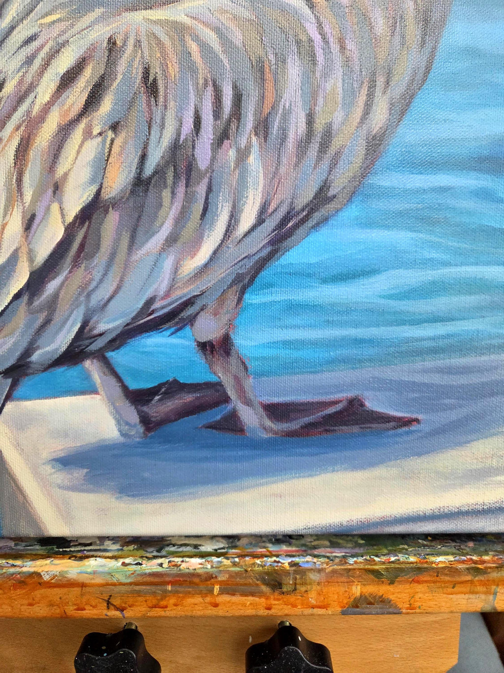 Pelican at the Pier