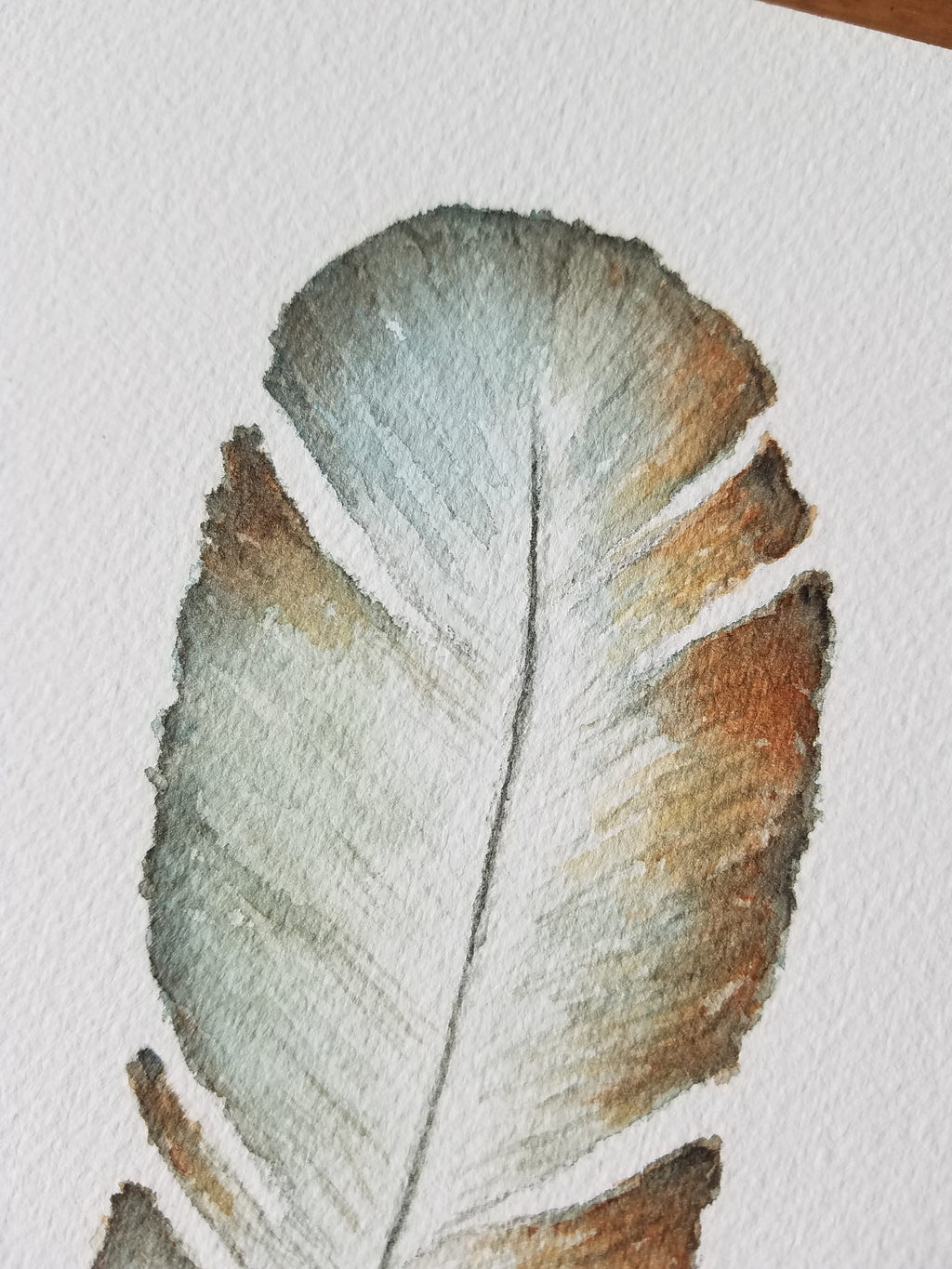 Feather Watercolor custom Painting