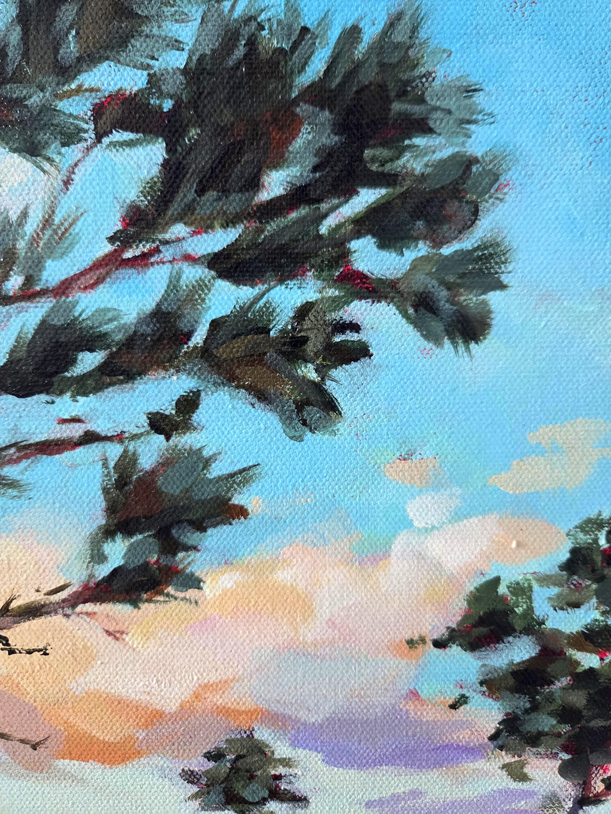 South Florida Pines
