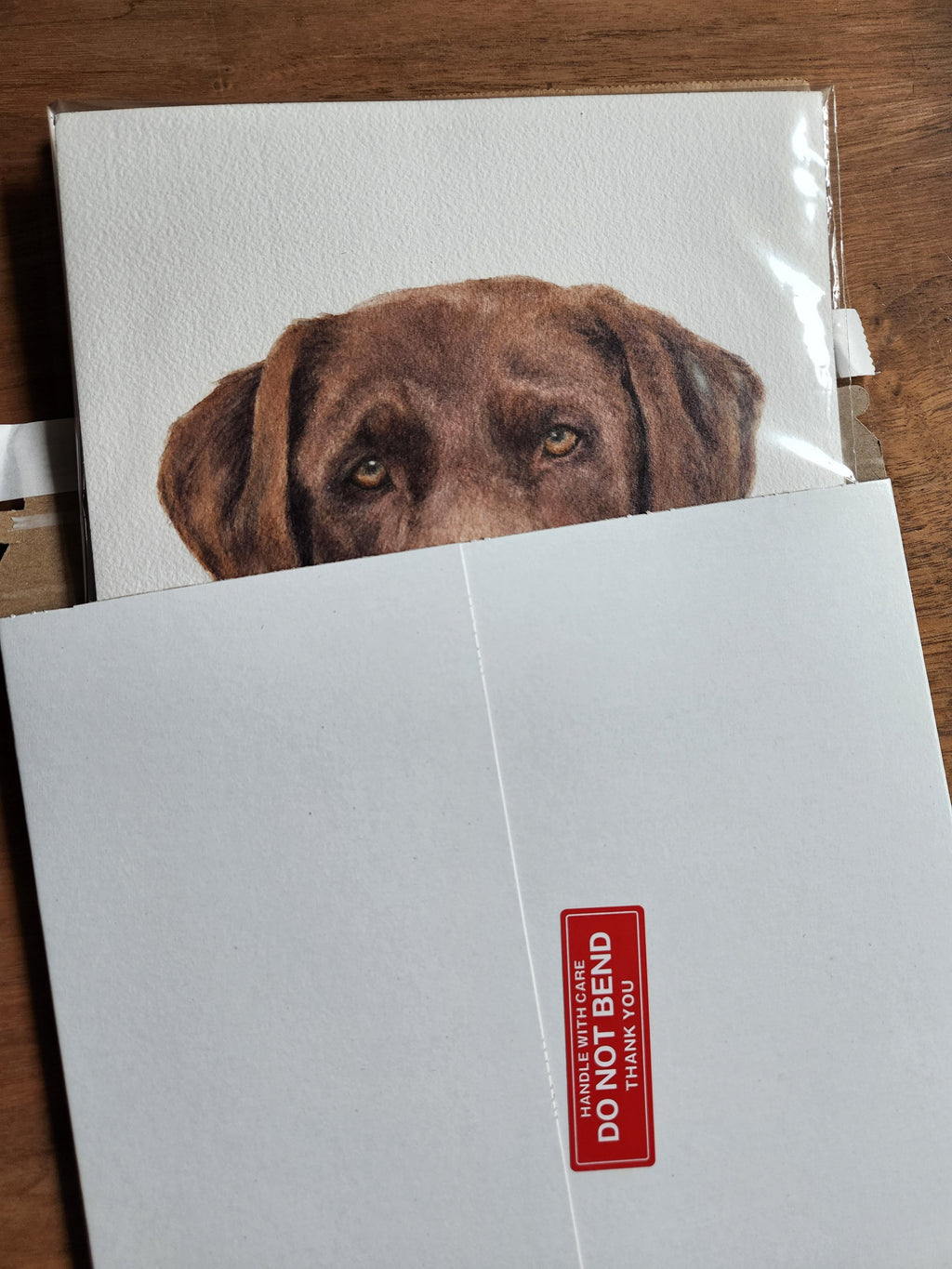 Medium SINGLE Pet Portrait, custom (8x8 or 8x10)