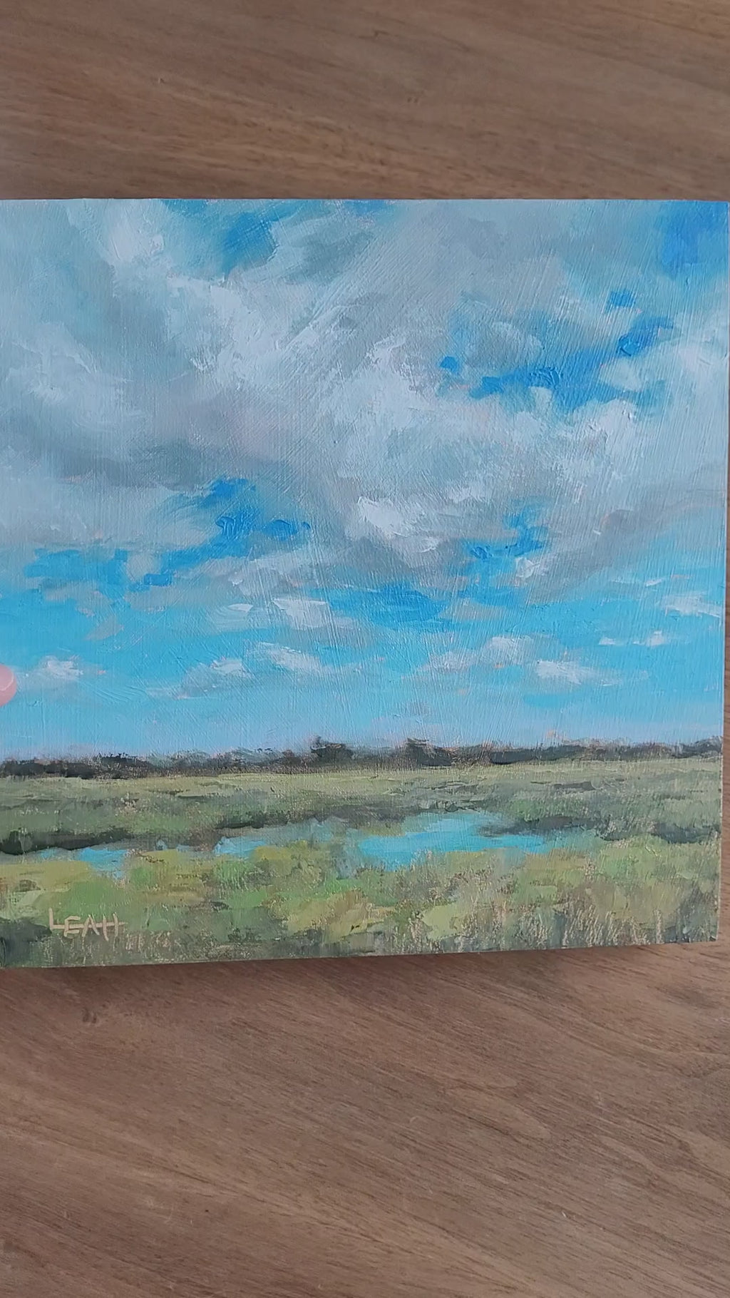 Above the Savanna