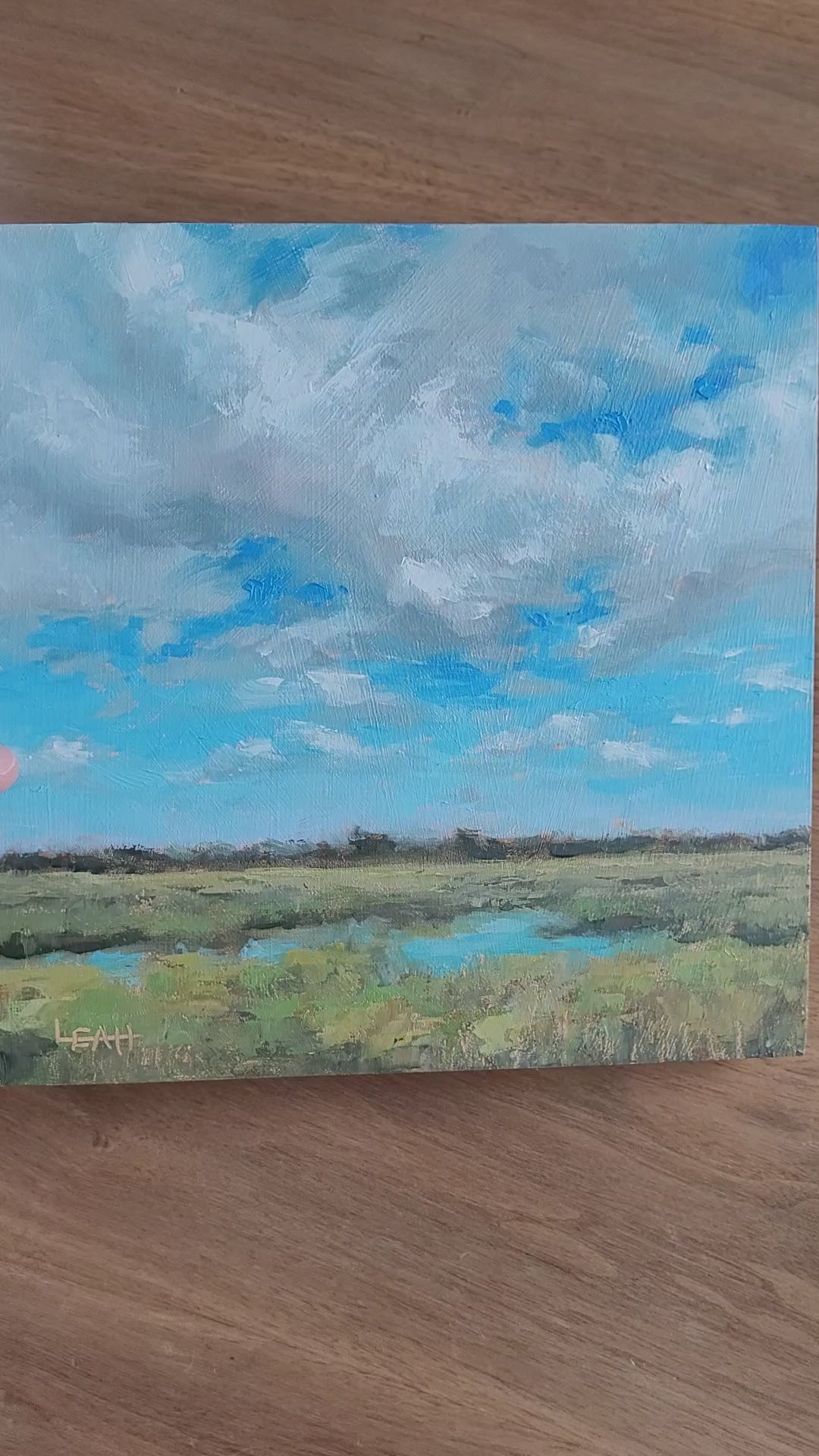 Above the Savanna