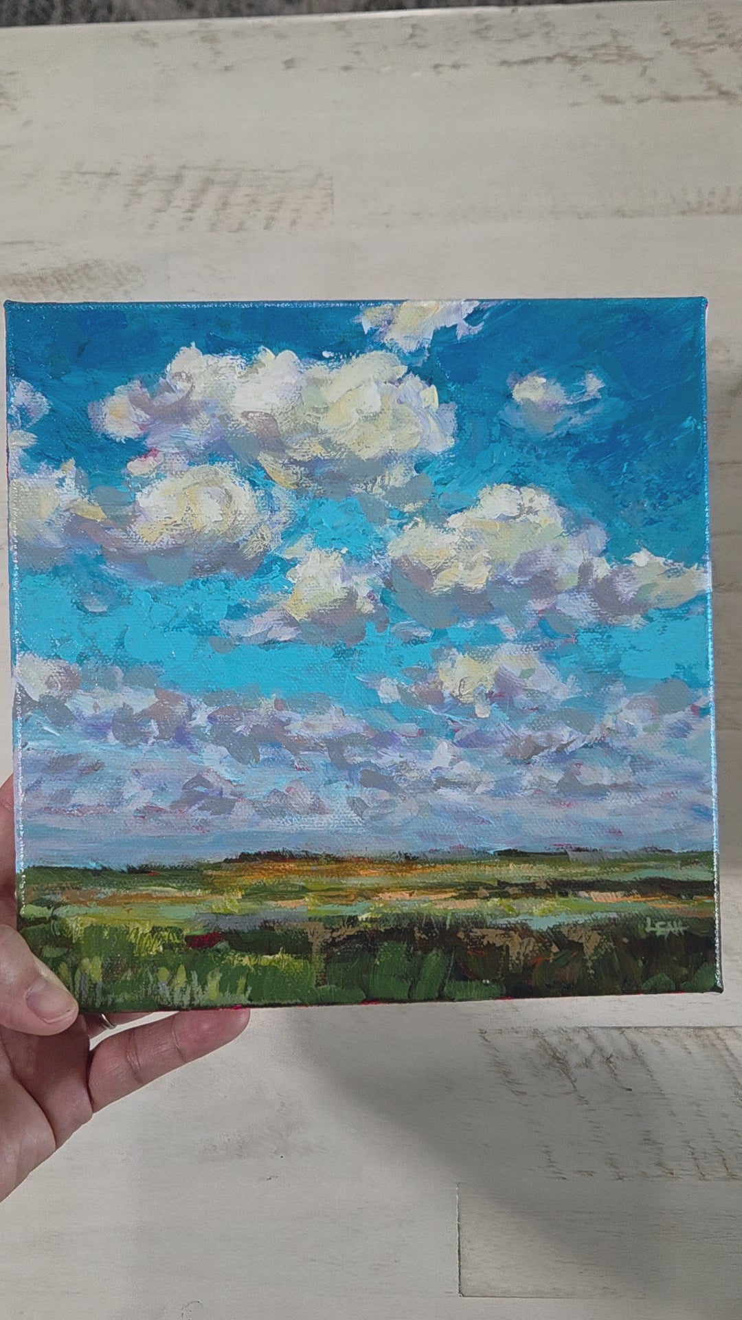 Savanna Sky